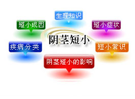 阴茎短小的影响